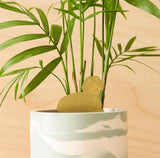 Plant Animal Accents (options)