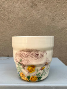 Toad Ceramic Cup
