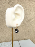 Swarovski Night Studs