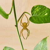 Plant Animal Accents (options)