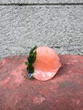 Peach Hair Claw (options)