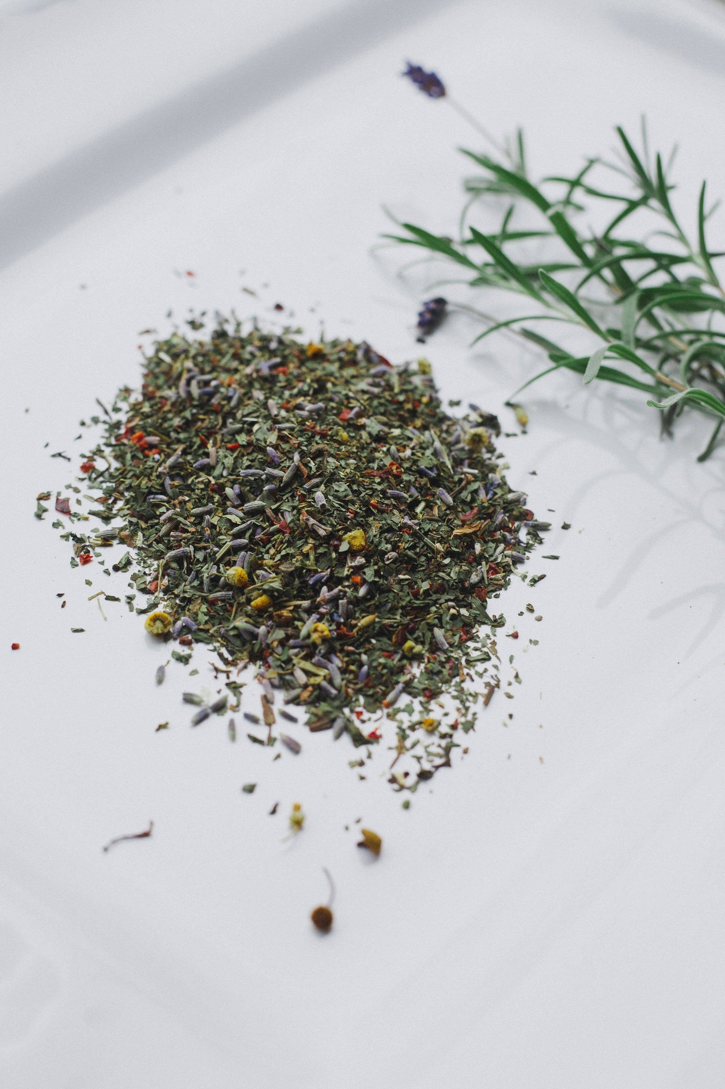 Pacific Coast Lavender Herbal Tea Blend