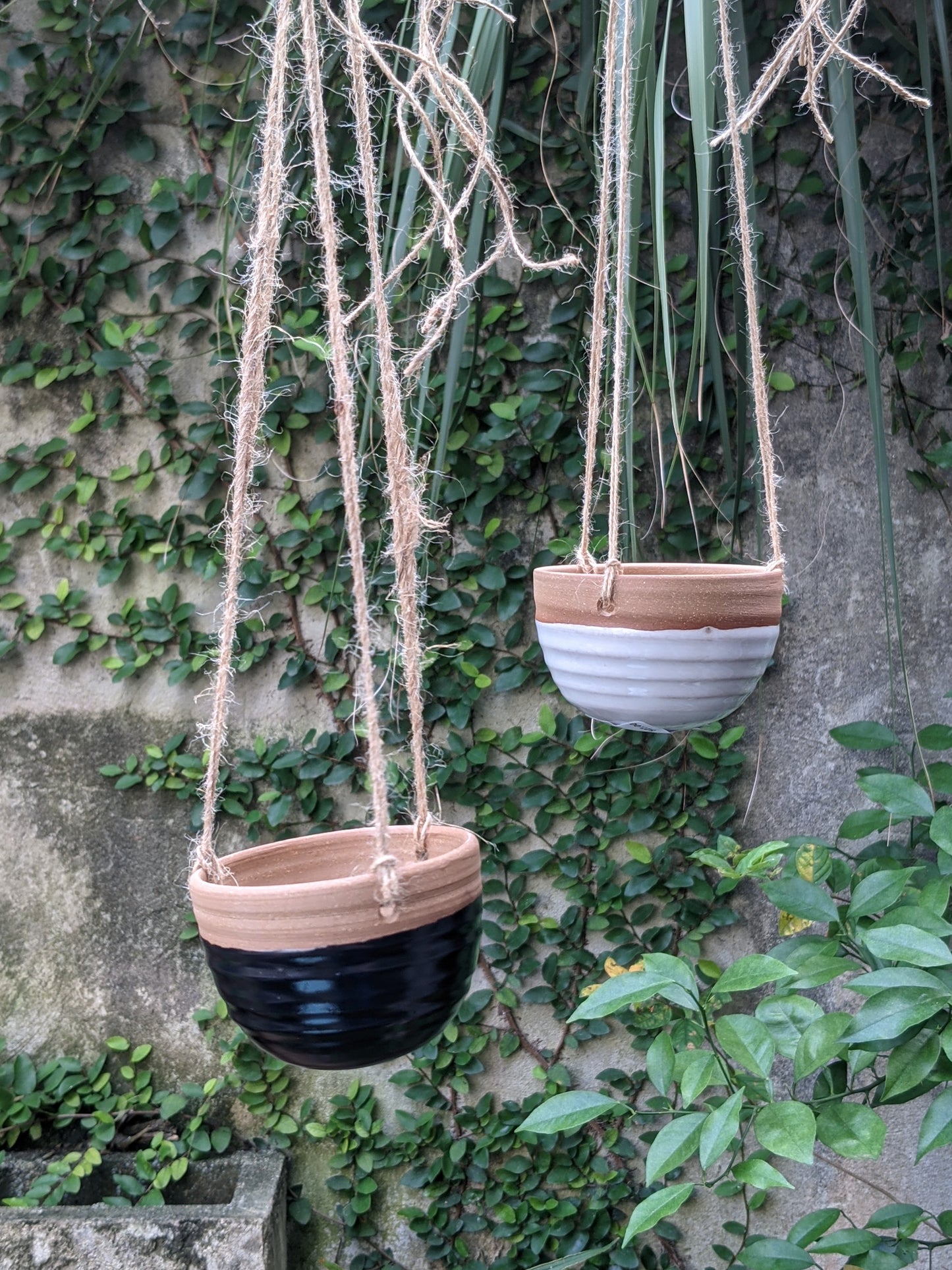 Small Hanging Planter (Options)