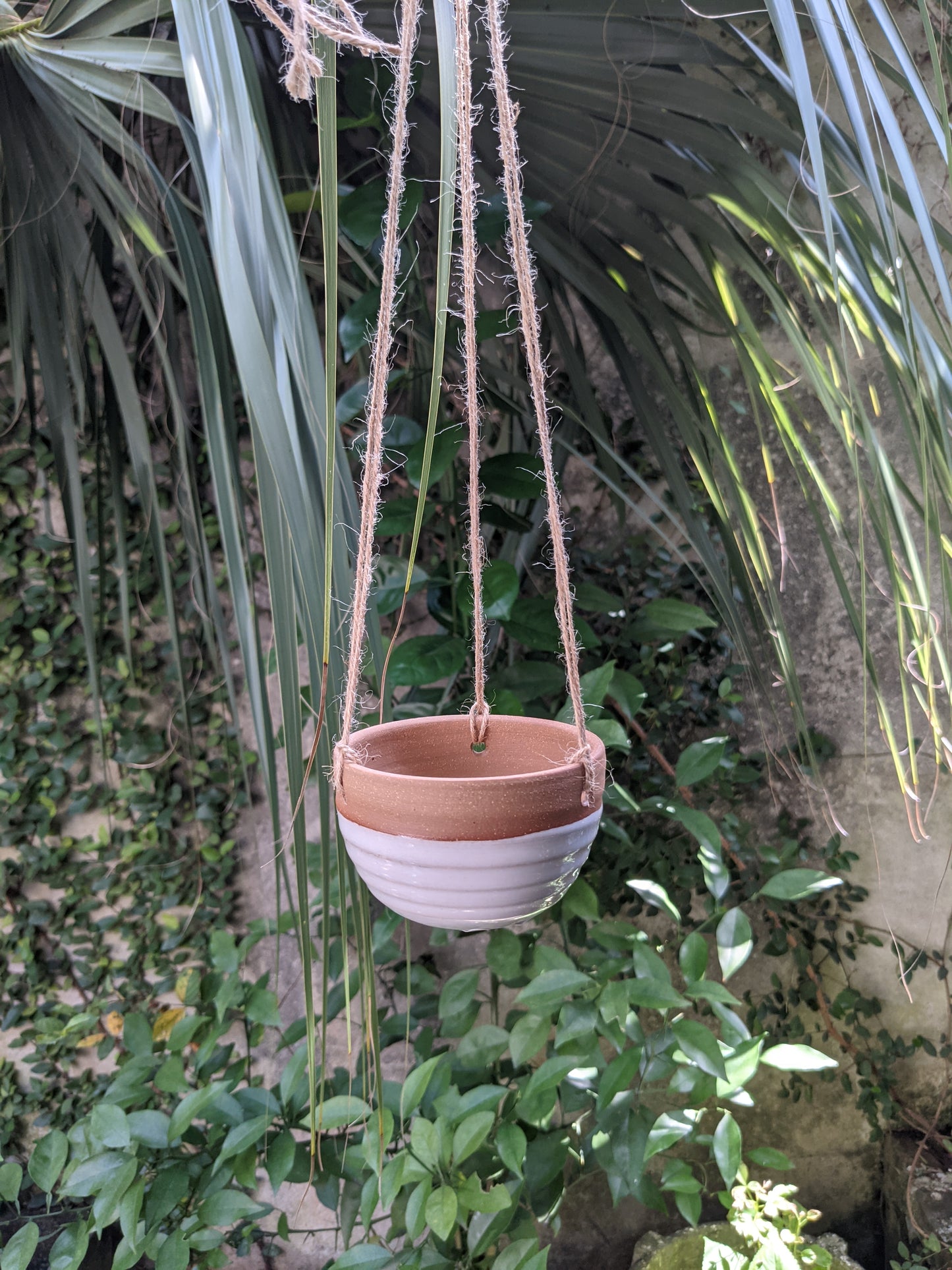 Small Hanging Planter (Options)