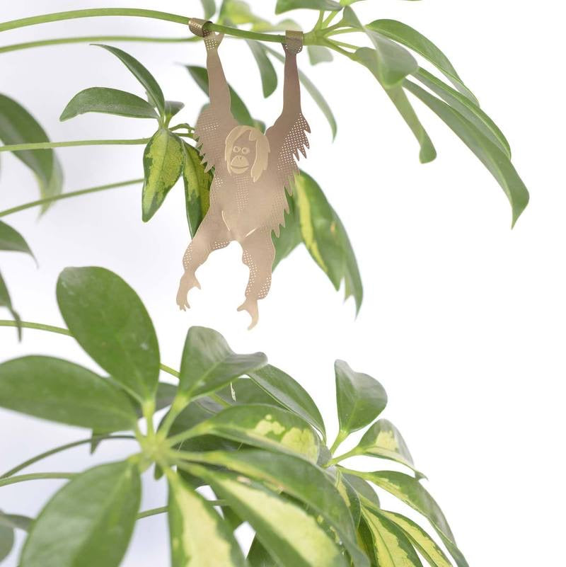 Plant Animal Accents (options) – Custard Boutique